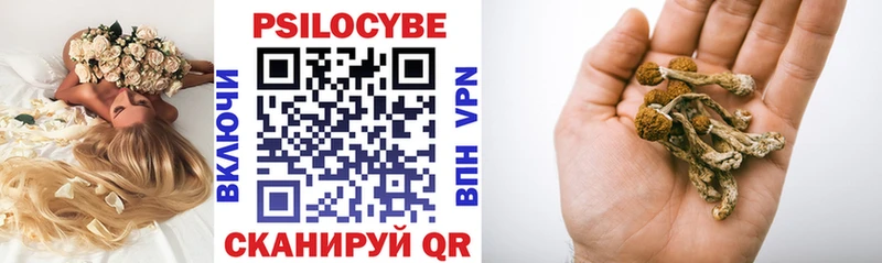 Галлюциногенные грибы Psilocybe  Купить  Гаврилов-Ям 